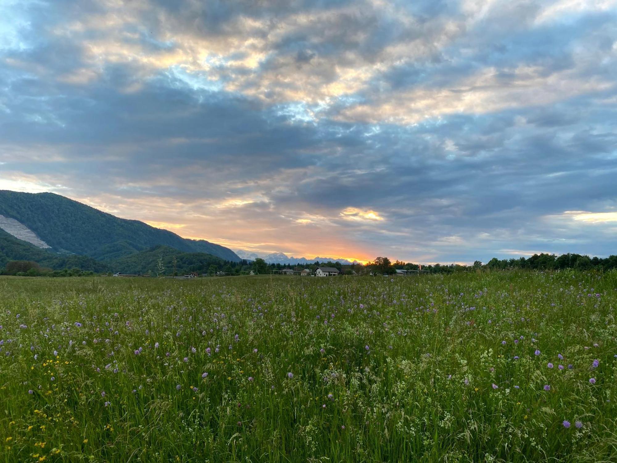 Luxury Holiday Home Near Lake Bled & The Alps Kropa Kültér fotó